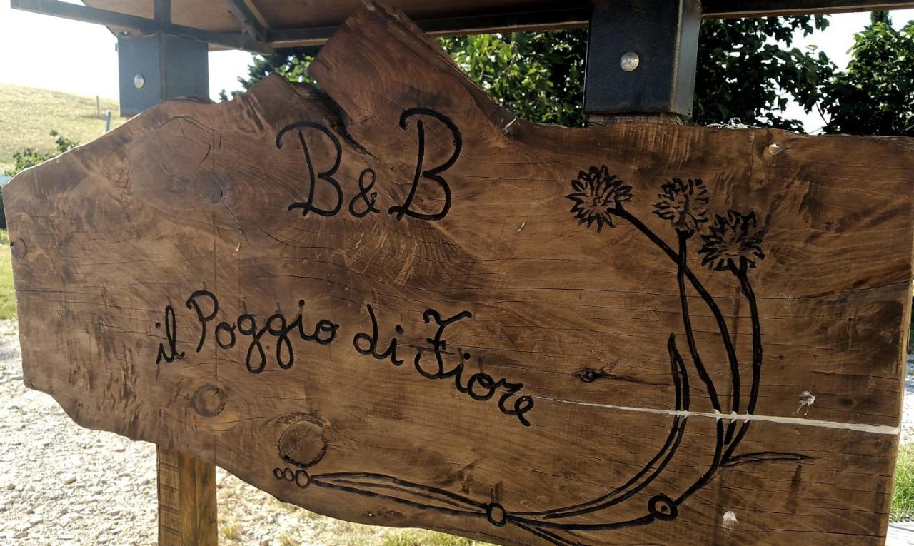 B&B Il Poggio Di Fiore Castellina Marittima Exteriör bild