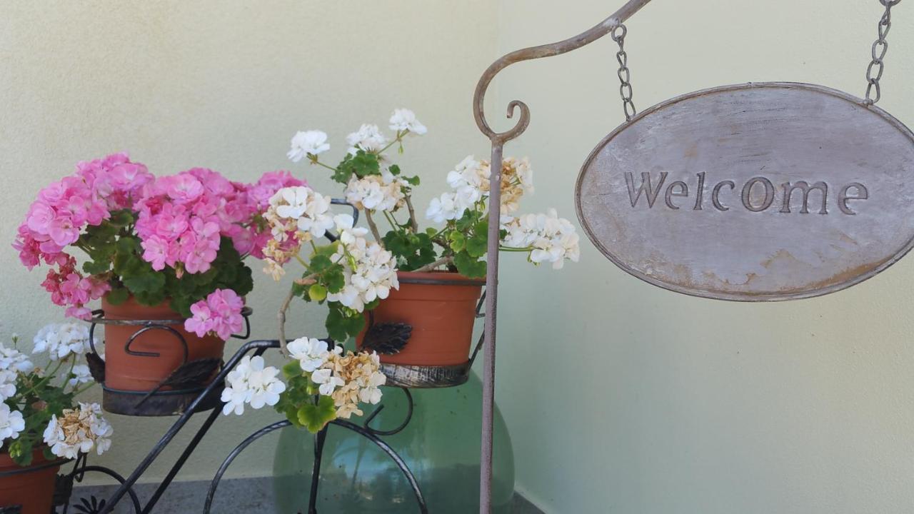 B&B Il Poggio Di Fiore Castellina Marittima Exteriör bild